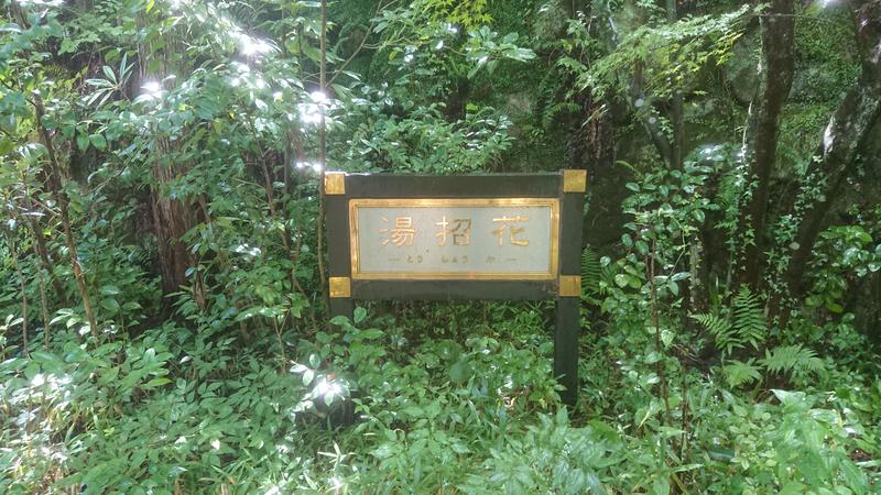 きんのじさんの湯泉郷 温泉館 湯招花のサ活写真