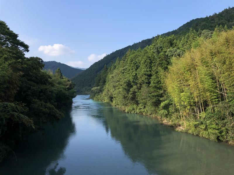 小籠包さんのホテル松葉川温泉のサ活写真