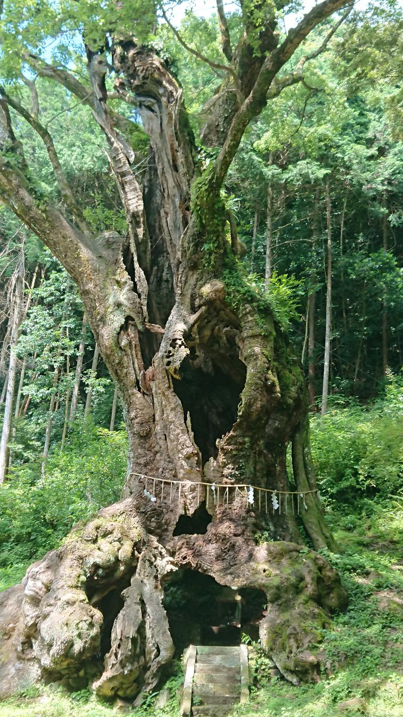 むーみんさんの佐賀ぽかぽか温泉のサ活写真