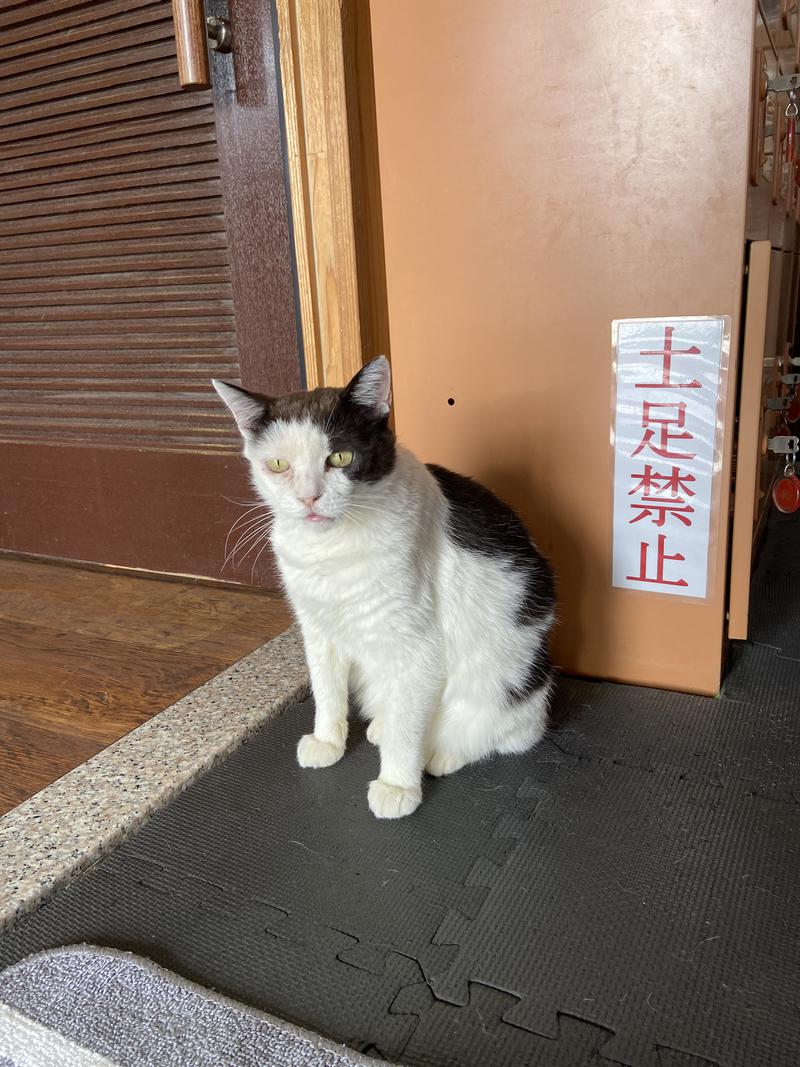 フィンさんのヌルヌル有田温泉のサ活写真