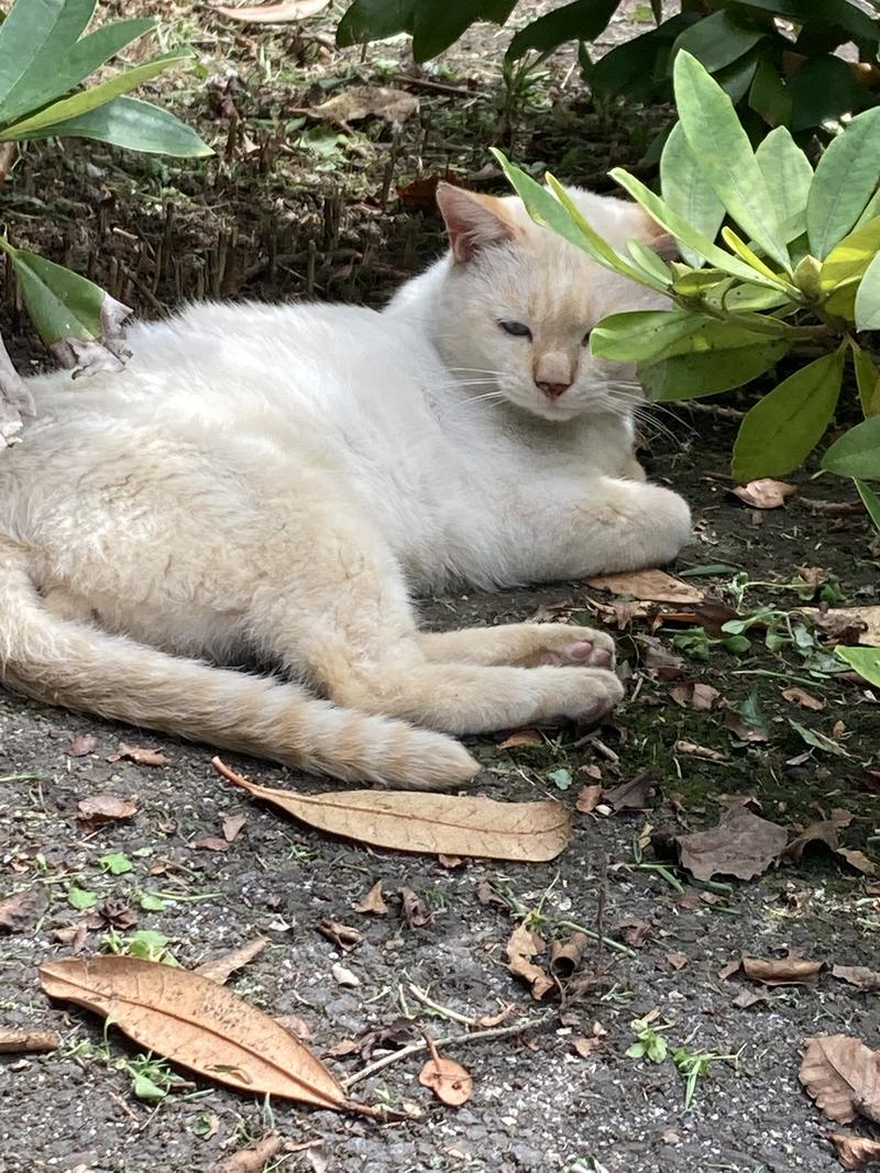 DDさんのヌクヌクの湯のサ活写真