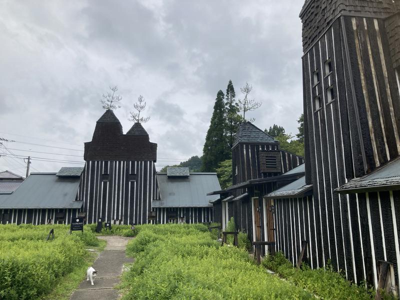 サウなぼりんさんのラムネ温泉館のサ活写真