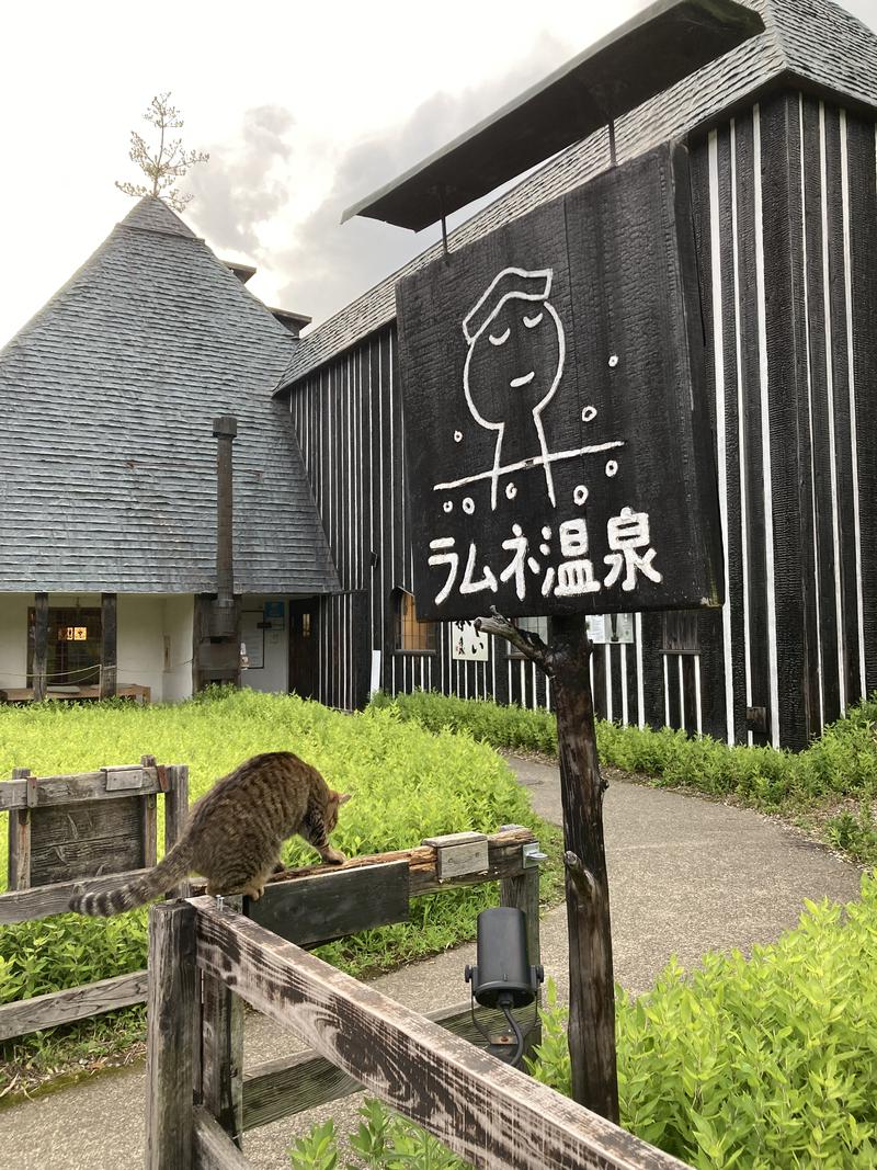 へこたさんのラムネ温泉館のサ活写真