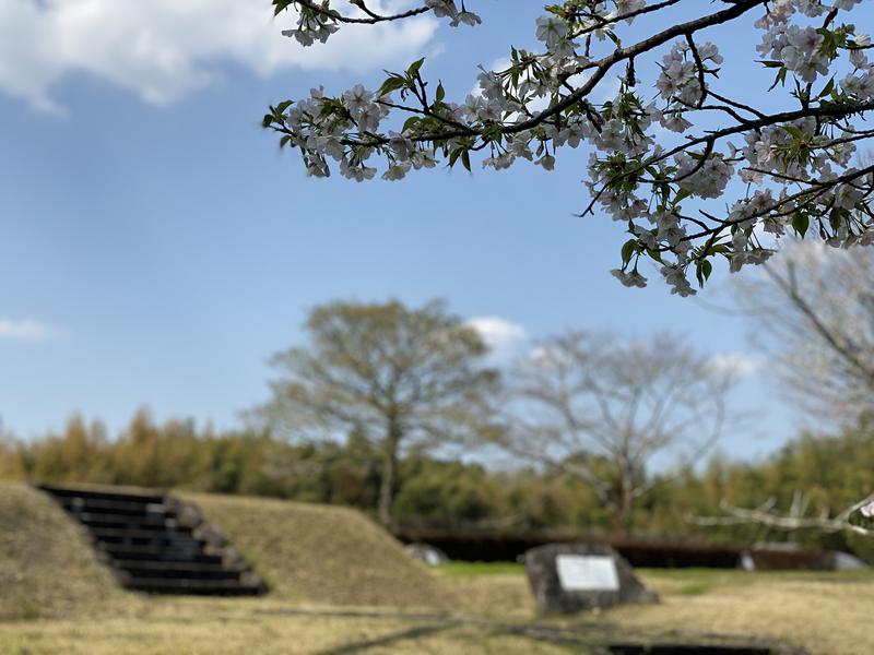 小籠包さんの湯の蔵のサ活写真