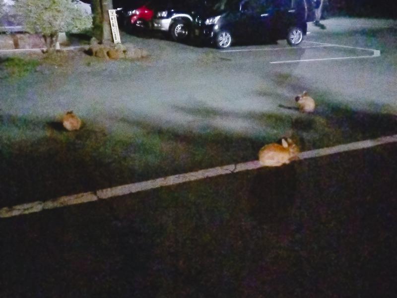 どんぐり村温泉センター 写真ギャラリー3