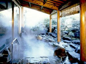 温泉館「ゆらり」(阿蘇の司ビラパークホテル&スパリゾート) 写真