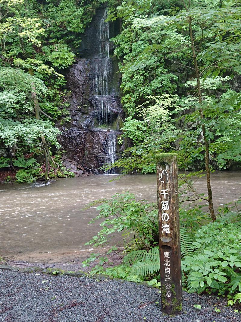 snowさんの十和田温泉のサ活写真