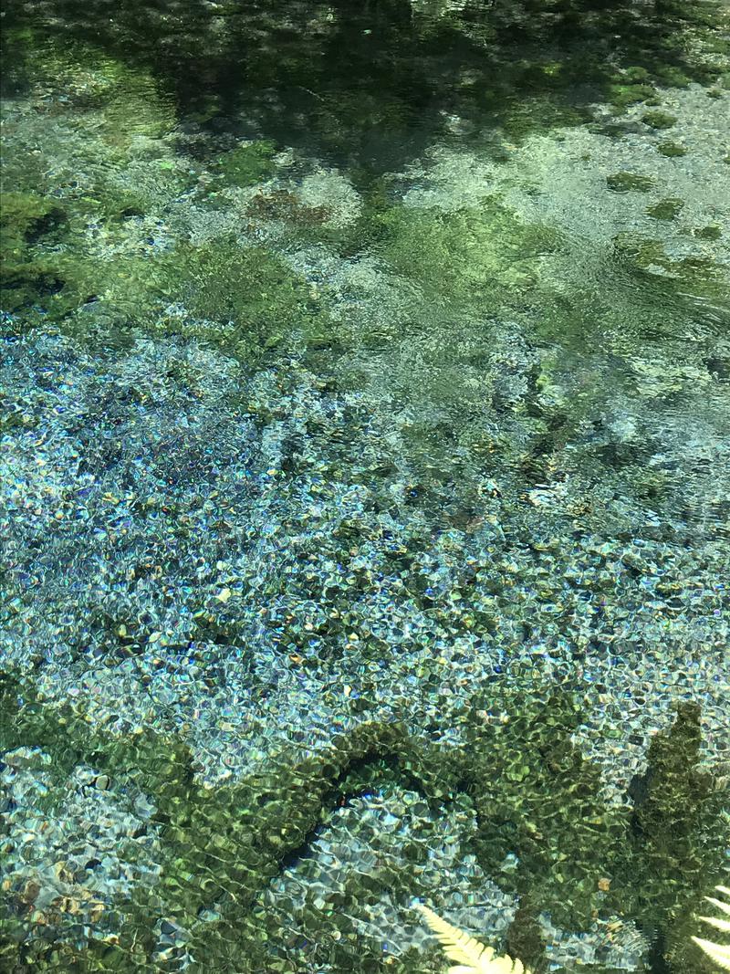 蒸しゴリラさんのサウナと天然温泉 湯らっくすのサ活写真