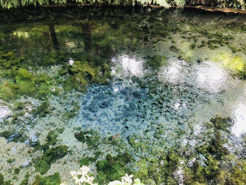 うには水風呂がお好きさんのサウナと天然温泉 湯らっくすのサ活写真