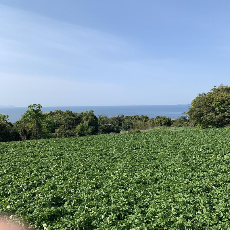 saunaYさんの御湯神指しベストパワーランドのサ活写真