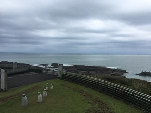 日向サンパーク温泉 お舟出の湯 令和2年9月30日をもって無期限休館中 宮崎県日向市 サウナイキタイ