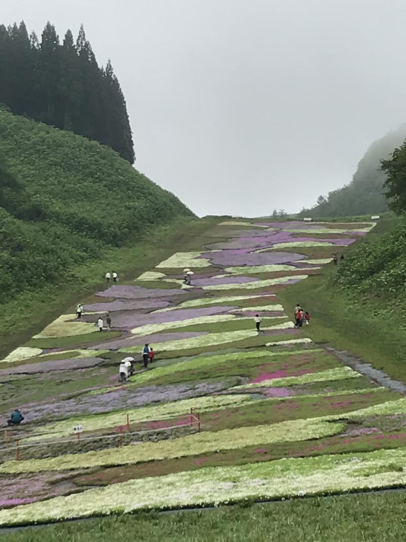 ニャロみかんさんの奥入瀬 森のホテルのサ活写真