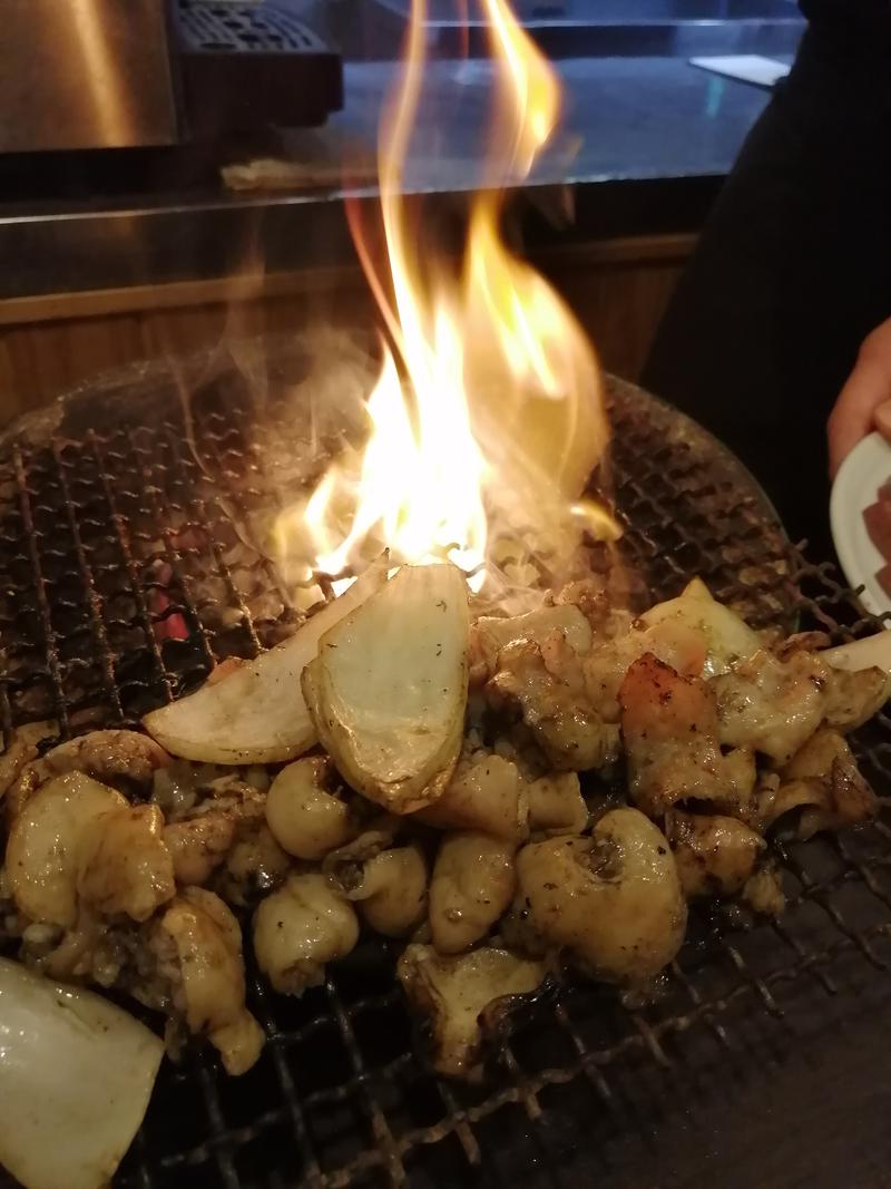 左魘龍治郎さんの日向の湯 ドーミーイン宮崎のサ活写真