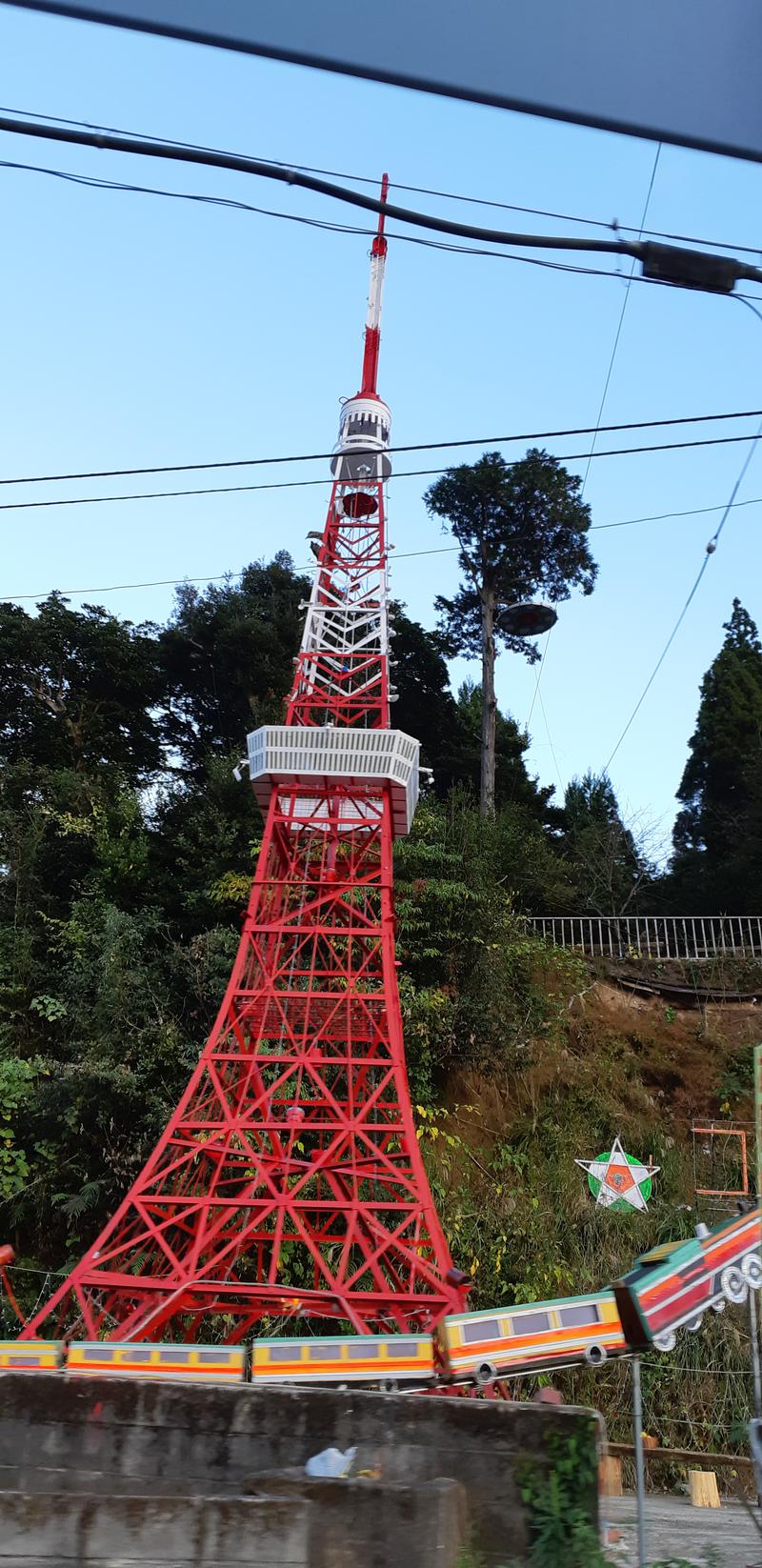 とりこだまさんの冠岳温泉のサ活写真