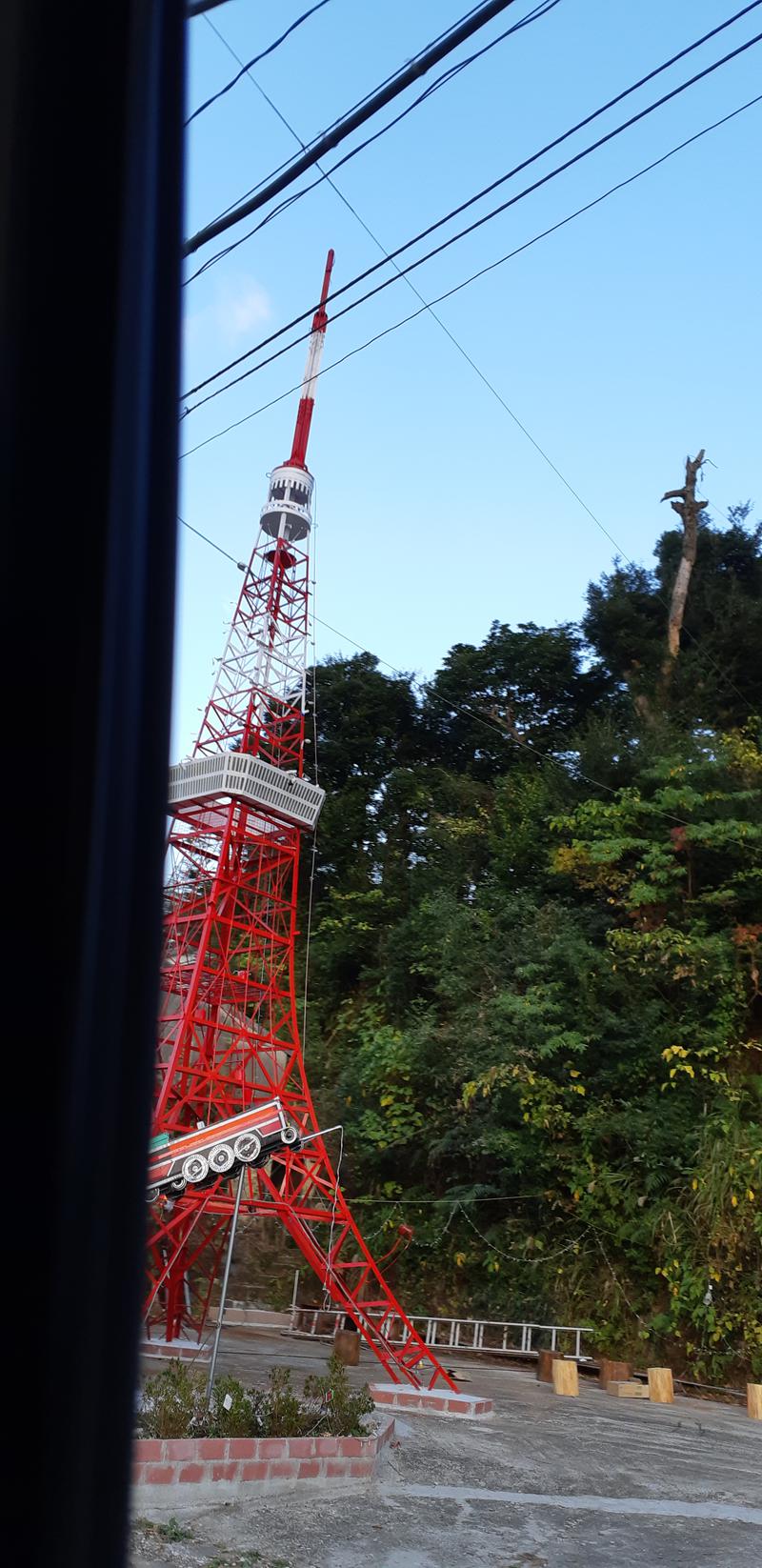 とりこだまさんの冠岳温泉のサ活写真