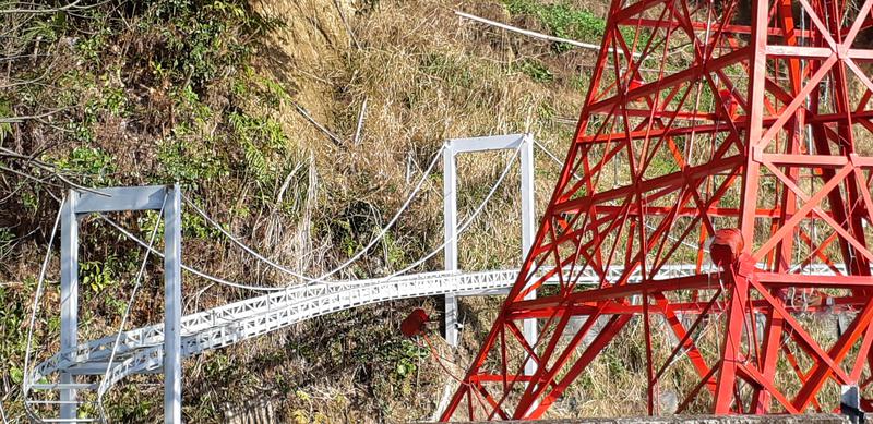 とりこだまさんの冠岳温泉のサ活写真