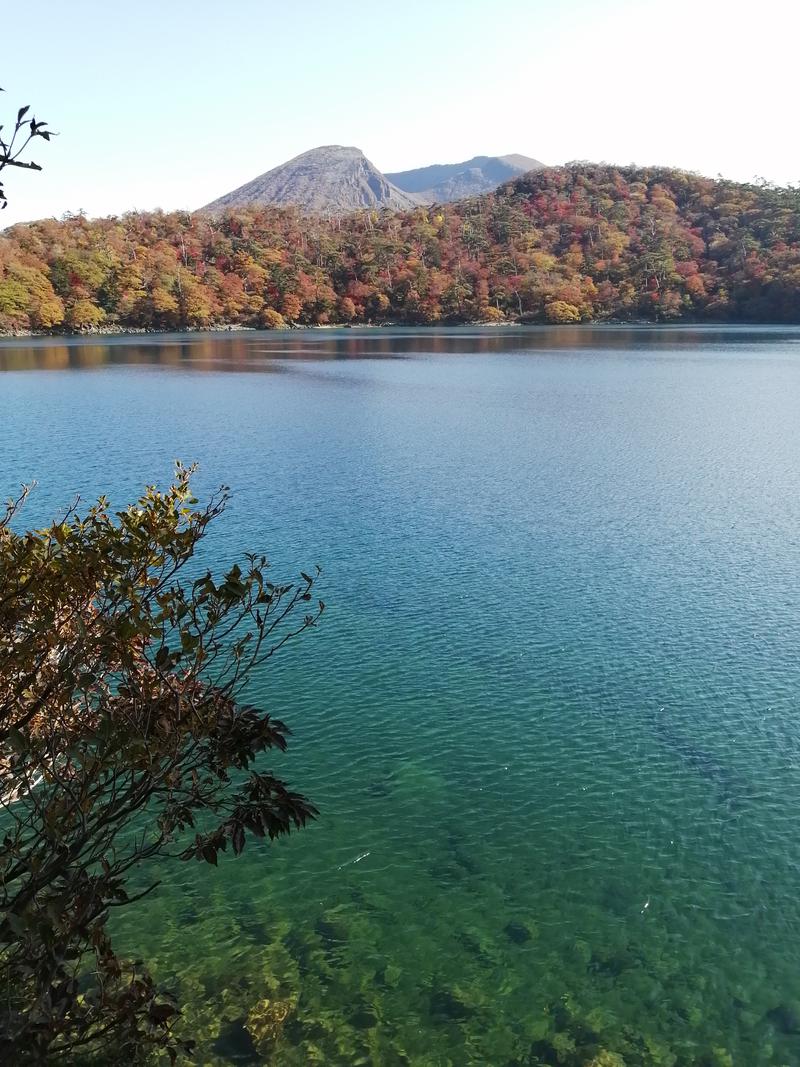 左魘龍治郎さんのシティホテルイン国分 城山温泉のサ活写真