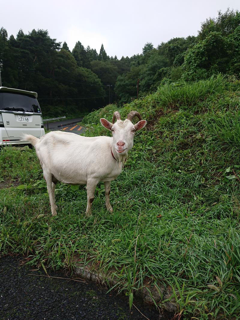 ターバンさんの熊ノ沢温泉のサ活写真