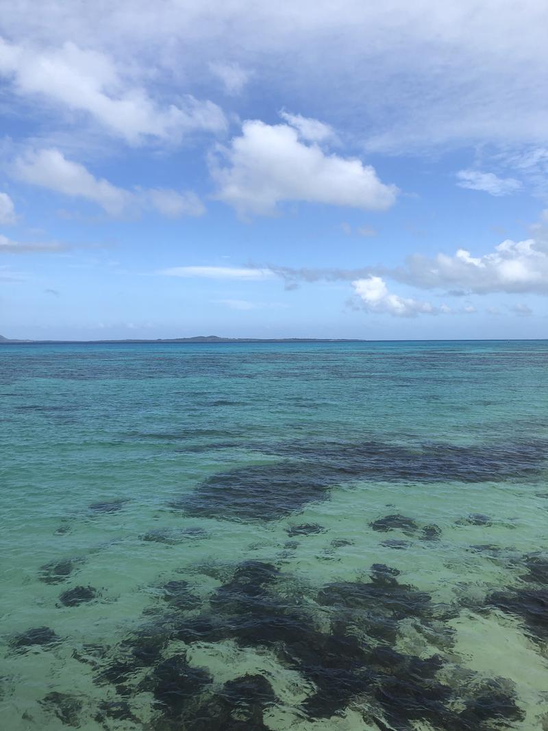 ヒロヒロさんのアートホテル石垣島 にいふぁい湯のサ活写真