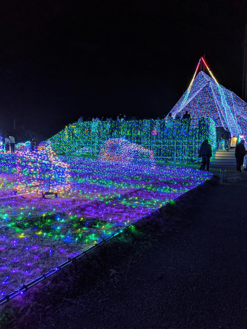 湯人さんのよみうりランド 丘の湯のサ活写真