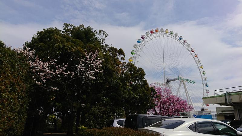 ゆうさんのよみうりランド 丘の湯のサ活写真