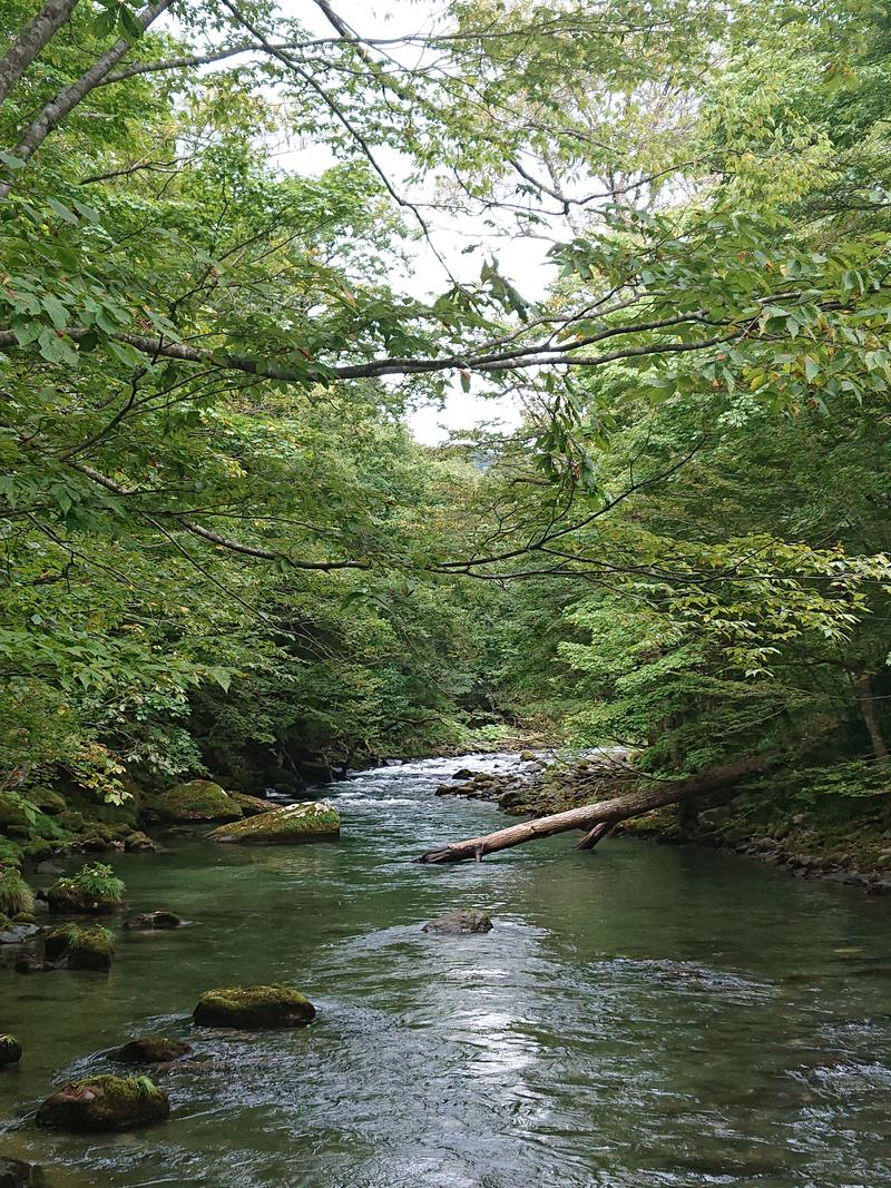 snowさんの八戸銭湯 オールウェイズのサ活写真