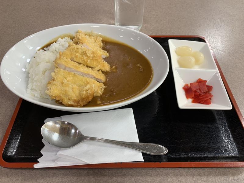 ヒデ♨️さんの湯の泉 相模健康センターのサ活写真