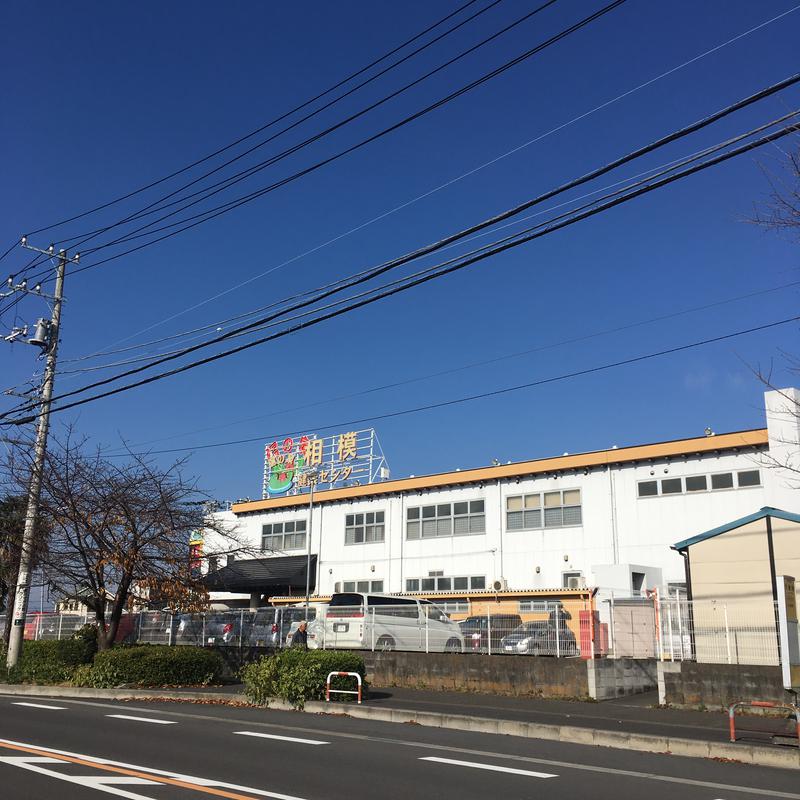 丸の内べるさんの湯の泉 相模健康センターのサ活写真