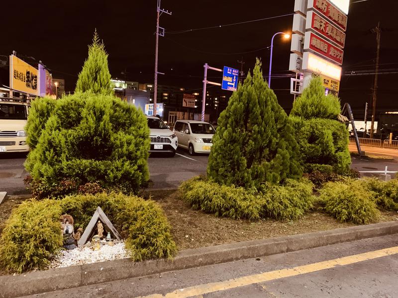 水風呂さんの湯の泉 東名厚木健康センターのサ活写真