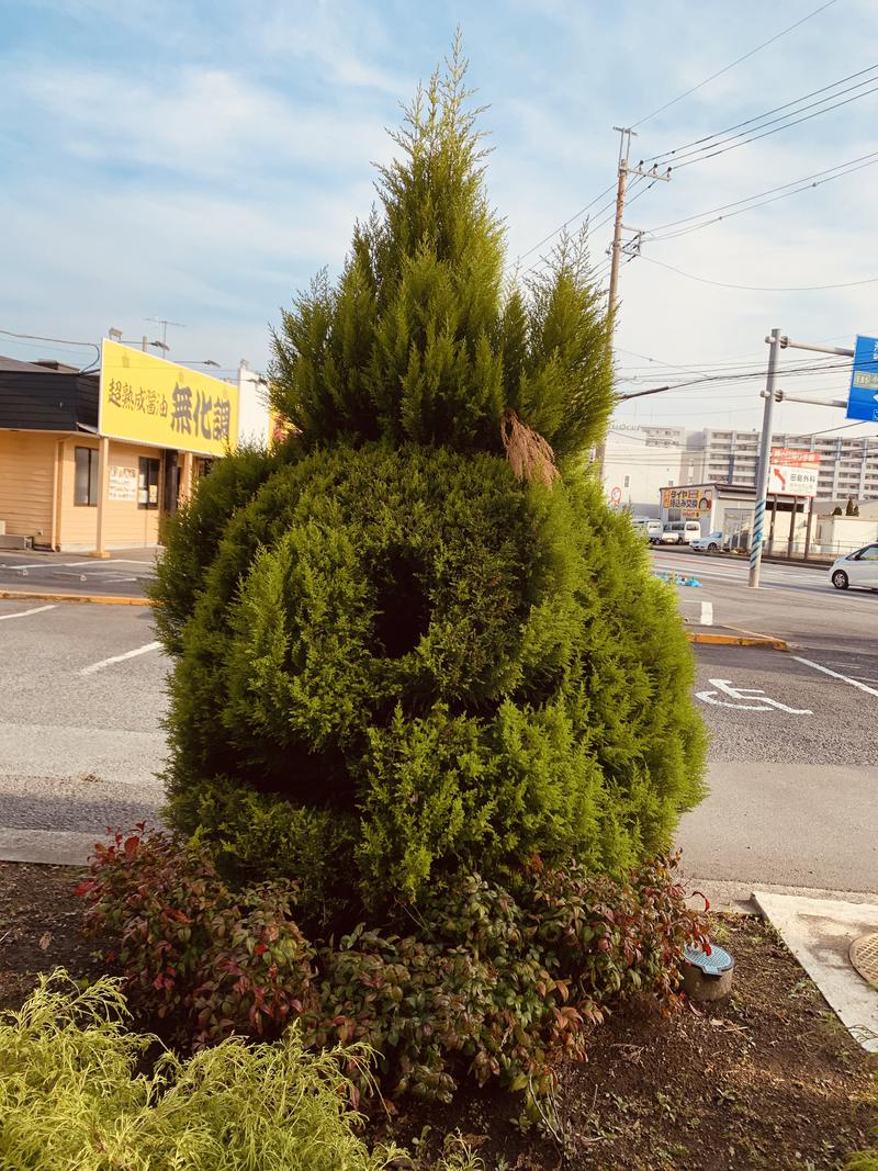 水風呂さんの湯の泉 東名厚木健康センターのサ活写真