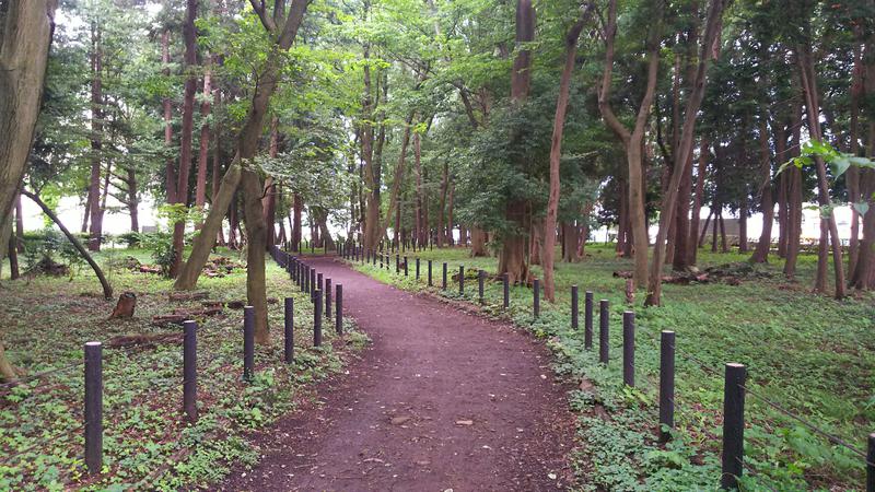 武蔵野ダイバーさんのおふろの王様 町田店のサ活写真