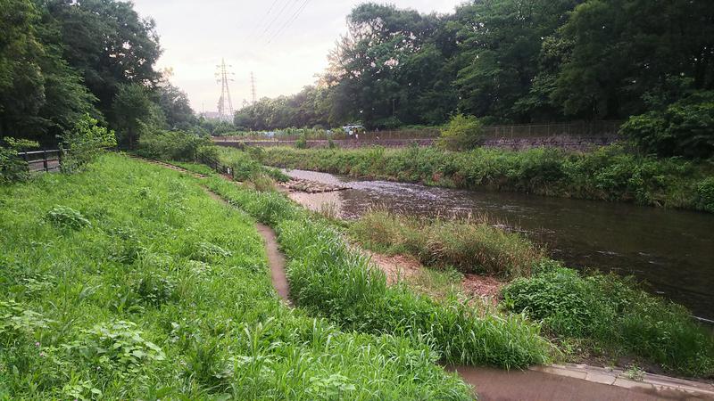 武蔵野ダイバーさんのおふろの王様 町田店のサ活写真