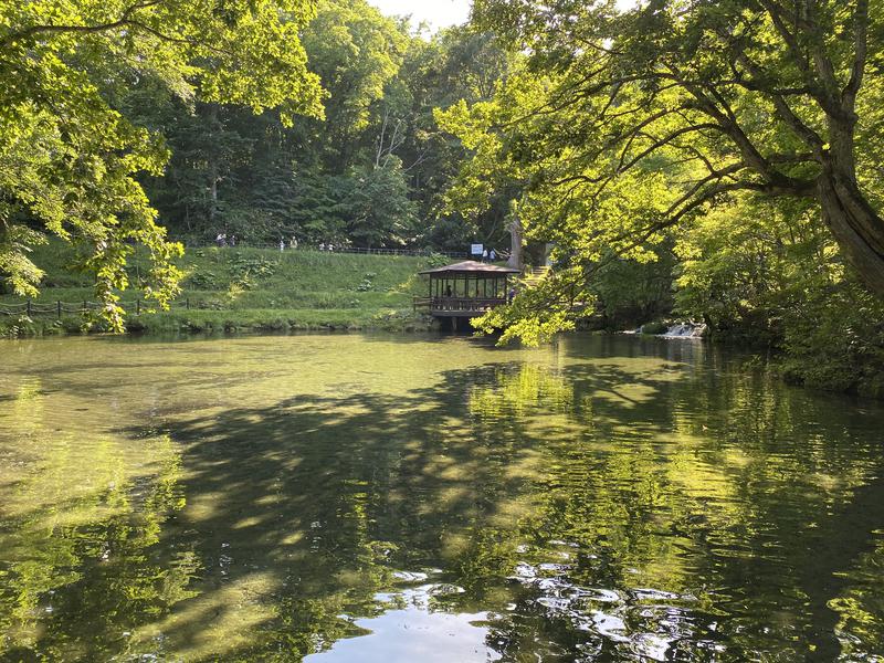 小籠包さんの京極温泉 京極ふれあい交流センターのサ活写真