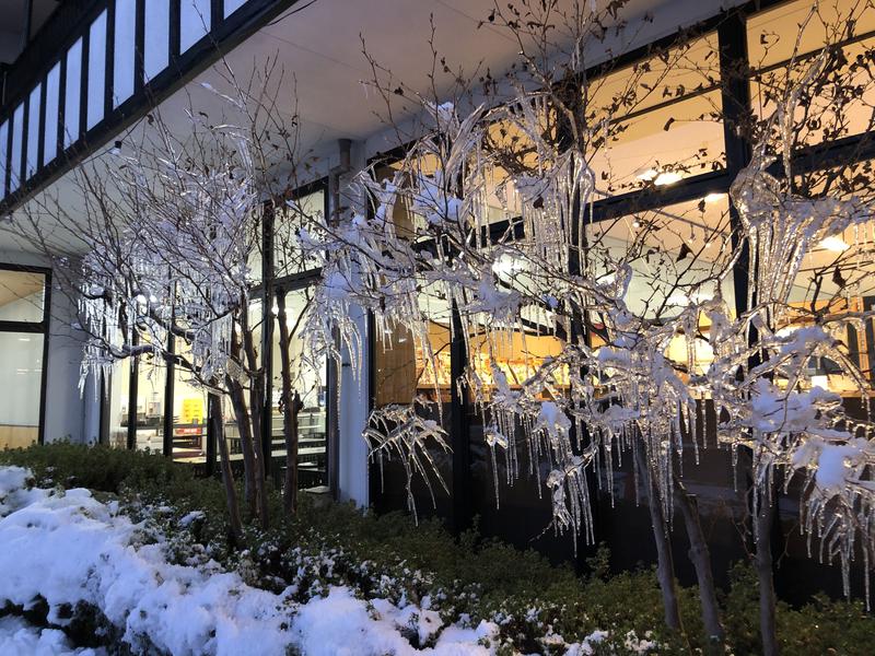 BJさんの花湯スカイテルメリゾートのサ活写真