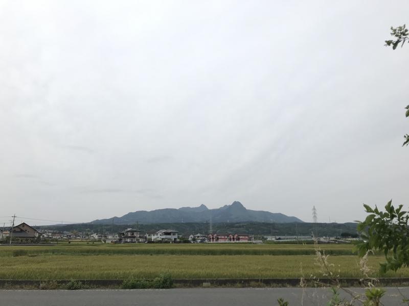 おさやさんの花湯スカイテルメリゾートのサ活写真