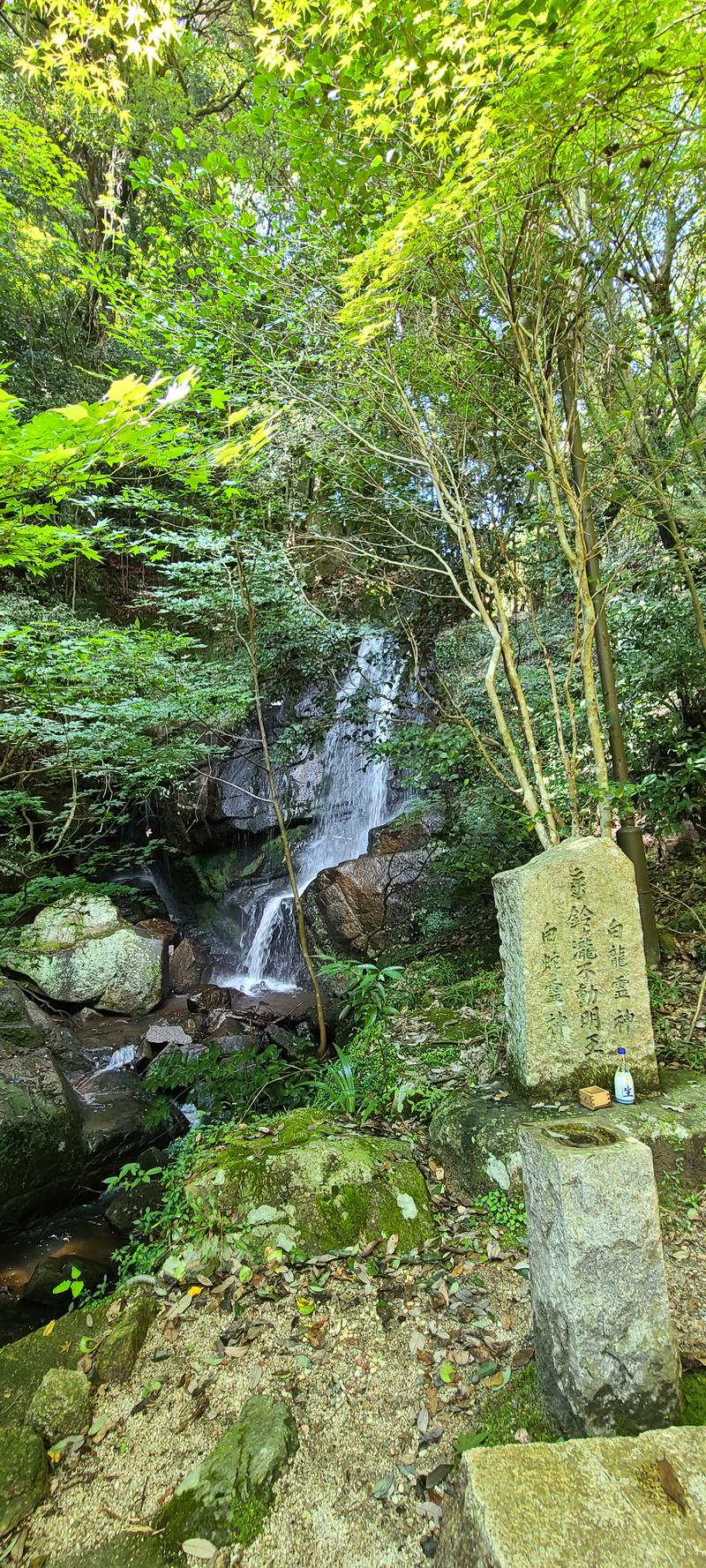 SUZUKIΓさんの猿投温泉 金泉の湯のサ活写真