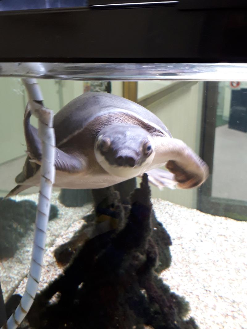 ミケマロさんの松本湯のサ活写真