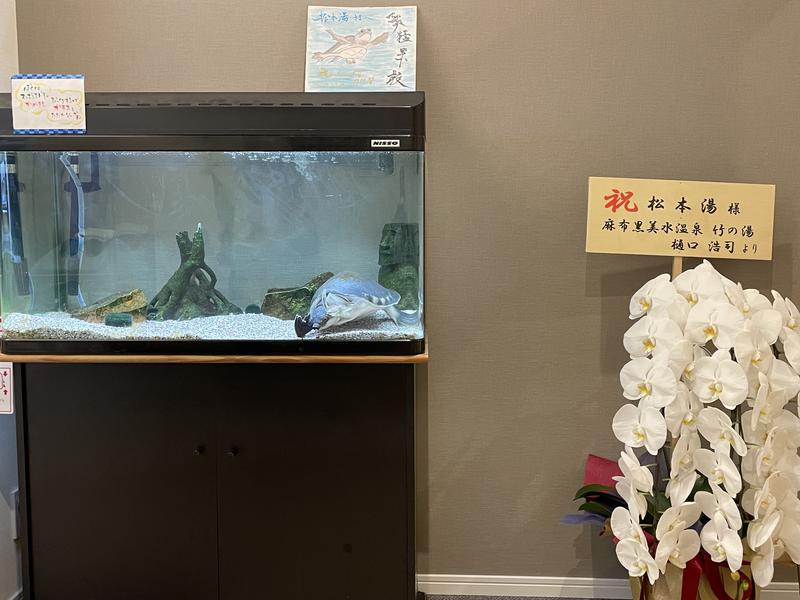 I am Sauna・サウナバンチョウさんの松本湯のサ活写真