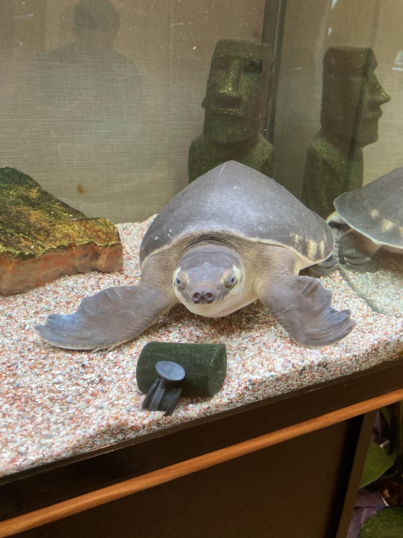 ボケナス花火さんの松本湯のサ活写真