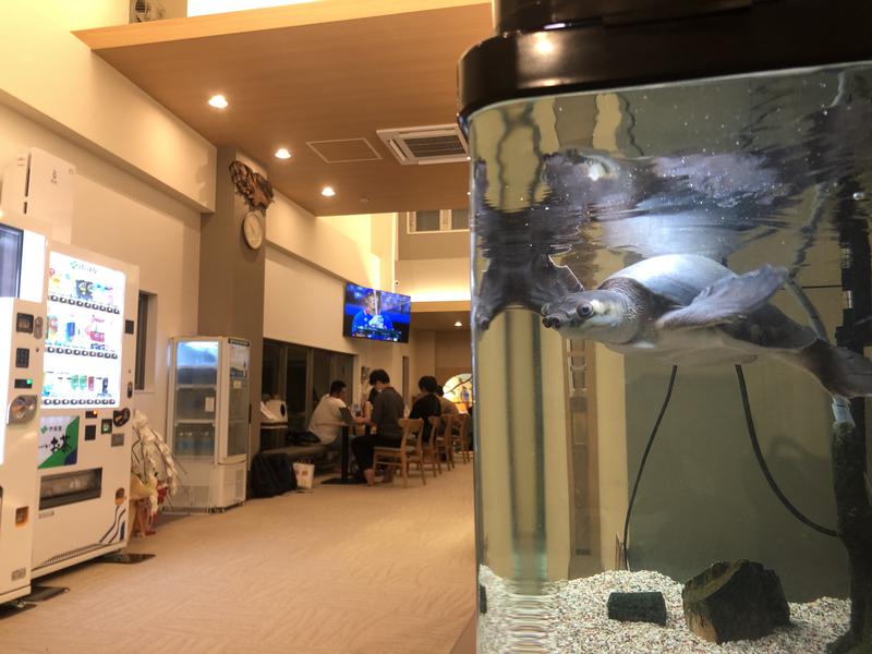 松本湯 かめきちくんがお出迎え