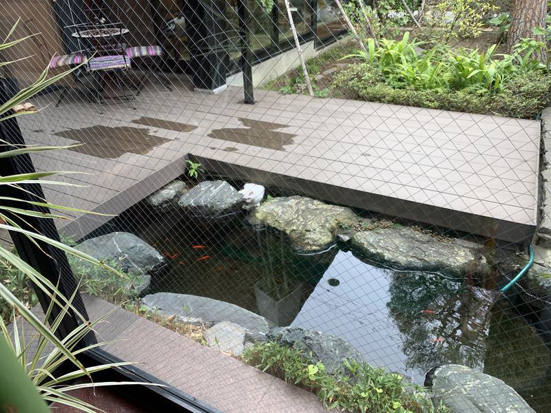 盆地住まいさんの湯の華銭湯 瑞祥 上山田本館のサ活写真