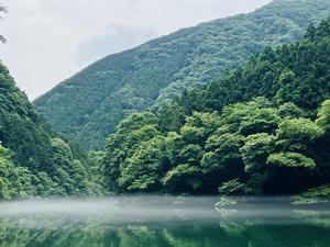 【天然湖テントサウナ】白丸village 写真
