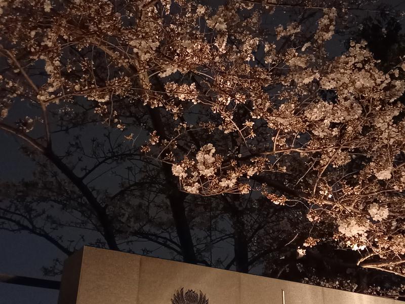 アゴーラ 福岡山の上ホテル&スパ 桜のシーズンは浴室からも…