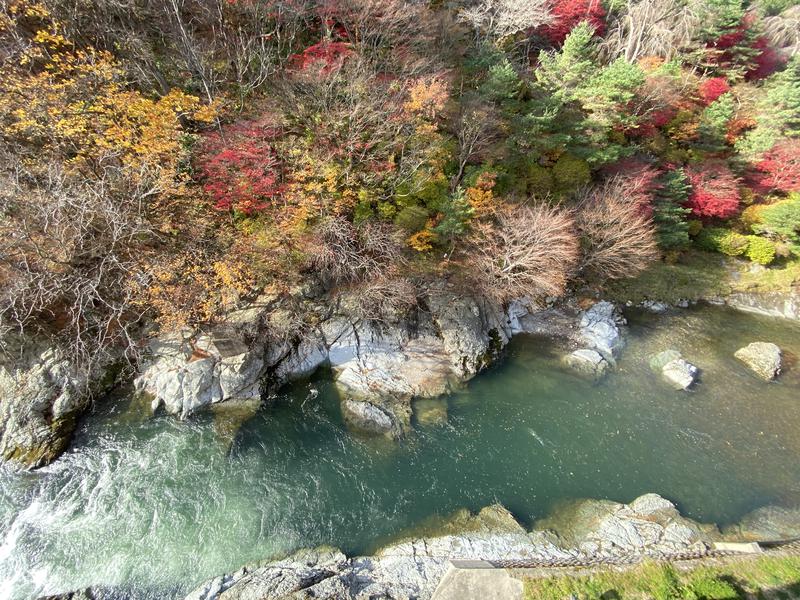 藤井翔太さんの四季彩り秋田づくし 湯瀬ホテルのサ活写真