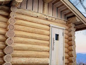 SAUNA TEN            - Birch and cloud forest - 写真