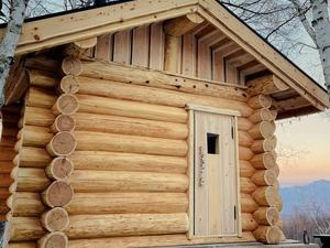 SAUNA TEN            "Birch and cloud forest" 写真