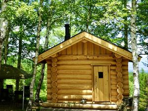 SAUNA TEN            "Birch and cloud forest" 写真