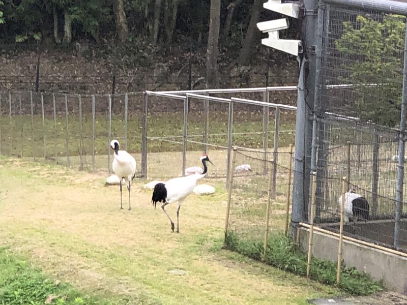 いきなり梅太郎さんの国民宿舎 サンロード吉備路のサ活写真