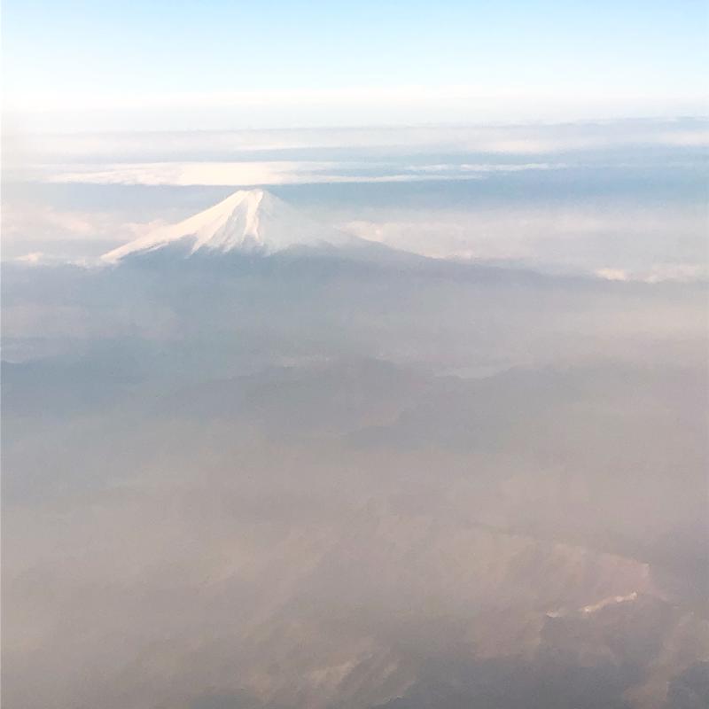 のさのらさんの日帰り温泉オーシャンのサ活写真