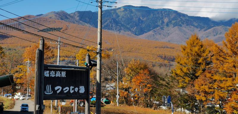 東信サウナーさんのつつじの湯のサ活写真